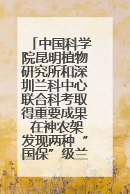 中国科学院昆明植物研究所和深圳兰科中心联合科考取得重要成果 在神农架发现两种“国保”级兰花