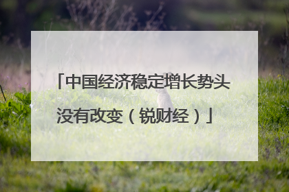 中国经济稳定增长势头没有改变（锐财经）