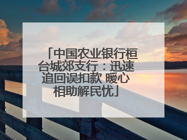 中国农业银行桓台城郊支行：迅速追回误扣款 暖心相助解民忧