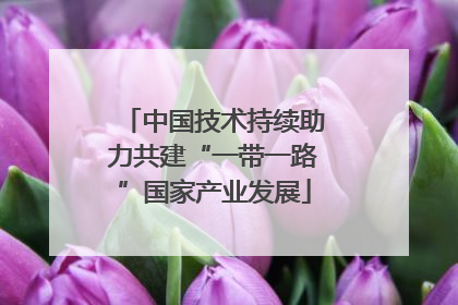 中国技术持续助力共建“一带一路”国家产业发展