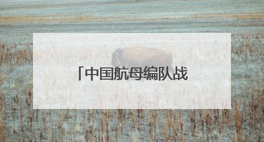 中国航母编队战斗机拦截日本海上自卫队巡逻机，我驻日使馆回应