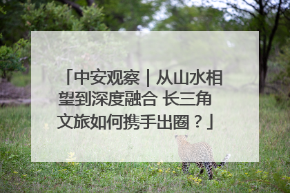 中安观察｜从山水相望到深度融合 长三角文旅如何携手出圈？