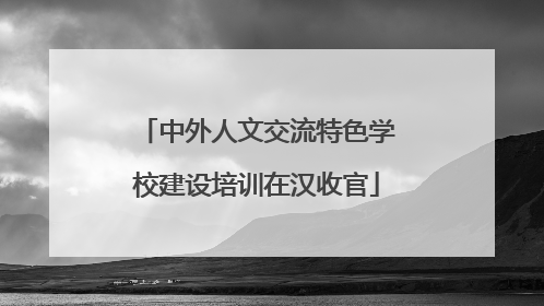中外人文交流特色学校建设培训在汉收官
