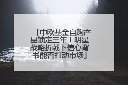 中欧基金自购产品锁定三年！明星战略折戟下信心背书能否打动市场