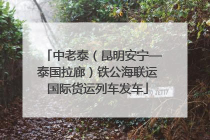 中老泰（昆明安宁—泰国拉廊）铁公海联运国际货运列车发车