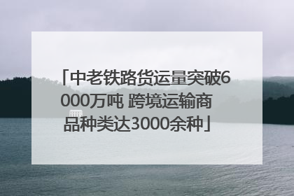 中老铁路货运量突破6000万吨 跨境运输商品种类达3000余种