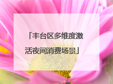 丰台区多维度激活夜间消费场景