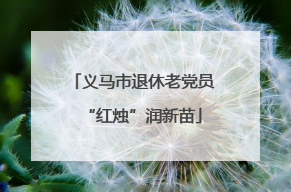 义马市退休老党员“红烛”润新苗