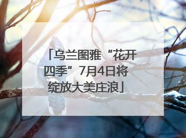 乌兰图雅“花开四季”7月4日将绽放大美庄浪