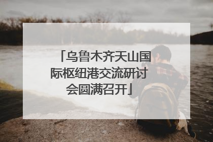 乌鲁木齐天山国际枢纽港交流研讨会圆满召开