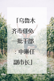 乌鲁木齐市任免一批干部：申琳任副市长