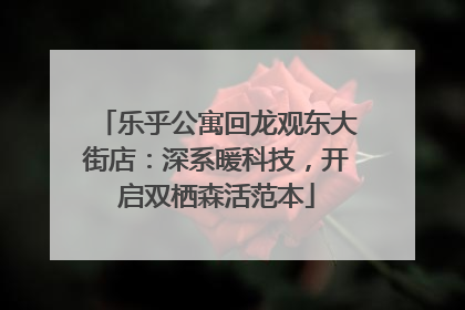 乐乎公寓回龙观东大街店：深系暖科技，开启双栖森活范本