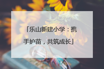 乐山新建小学：携手护苗，共筑成长