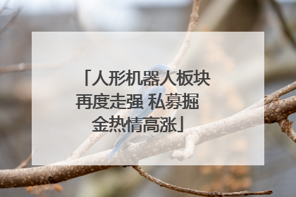 人形机器人板块再度走强 私募掘金热情高涨