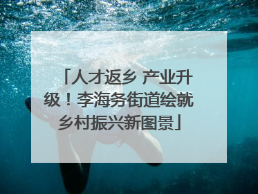 人才返乡 产业升级！李海务街道绘就乡村振兴新图景