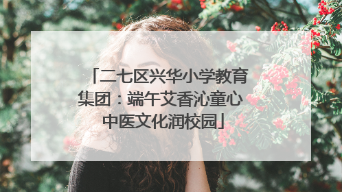 二七区兴华小学教育集团：端午艾香沁童心 中医文化润校园