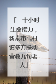 二十小时生命接力，新泰市禹村镇多方联动营救九旬老人