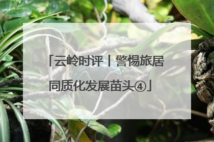 云岭时评丨警惕旅居同质化发展苗头④