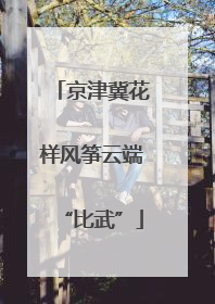 京津冀花样风筝云端“比武”