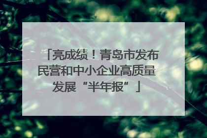 亮成绩！青岛市发布民营和中小企业高质量发展“半年报”