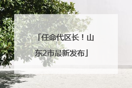任命代区长！山东2市最新发布