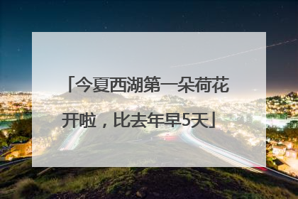 今夏西湖第一朵荷花开啦，比去年早5天