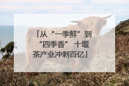 从“一季鲜”到“四季香” 十堰茶产业冲刺百亿