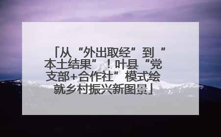 从“外出取经”到“本土结果”！叶县“党支部+合作社”模式绘就乡村振兴新图景
