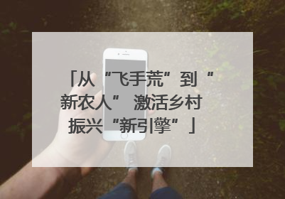 从“飞手荒”到“新农人” 激活乡村振兴“新引擎”