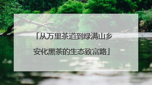 从万里茶道到绿满山乡 安化黑茶的生态致富路