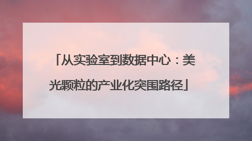 从实验室到数据中心：美光颗粒的产业化突围路径