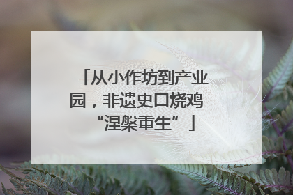 从小作坊到产业园，非遗史口烧鸡“涅槃重生”