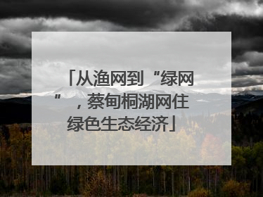 从渔网到“绿网”，蔡甸桐湖网住绿色生态经济