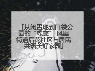 从闲置地到口袋公园的“蝶变” 凤里街道后花社区与居民共筑美好家园