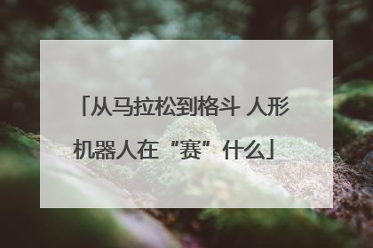从马拉松到格斗 人形机器人在“赛”什么