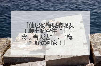 仙居杨梅现摘现发！顺丰航空件“上午寄，当天达”，“梅”好送到家！