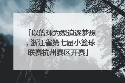 以篮球为媒追逐梦想，浙江省第七届小篮球联赛杭州赛区开赛
