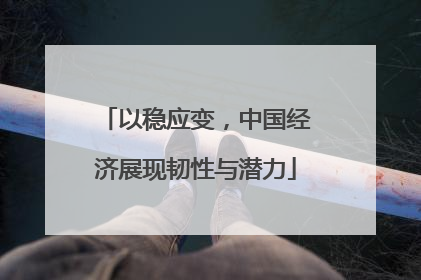 以稳应变，中国经济展现韧性与潜力