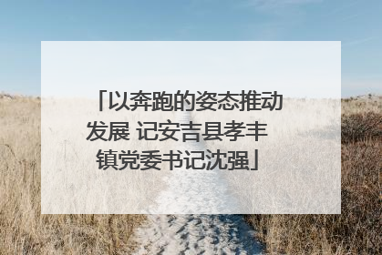 以奔跑的姿态推动发展 记安吉县孝丰镇党委书记沈强