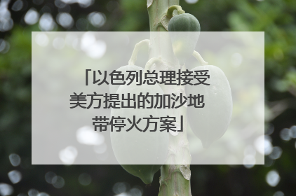 以色列总理接受美方提出的加沙地带停火方案