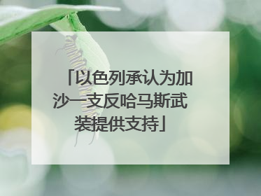 以色列承认为加沙一支反哈马斯武装提供支持