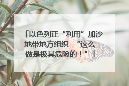 以色列正“利用”加沙地带地方组织  “这么做是极其危险的！”