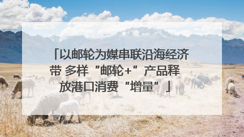 以邮轮为媒串联沿海经济带 多样“邮轮+”产品释放港口消费“增量”