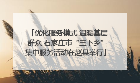 优化服务模式 温暖基层群众 石家庄市“三下乡”集中服务活动在赵县举行