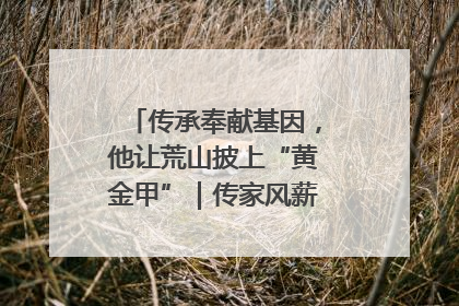 传承奉献基因，他让荒山披上“黄金甲”｜传家风薪火 颂家国情深