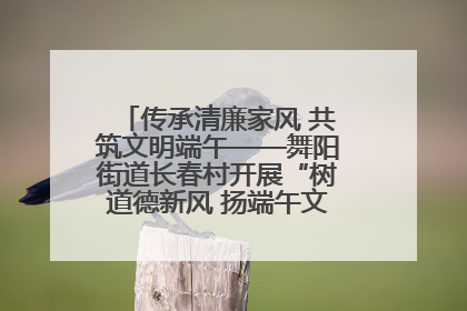 传承清廉家风 共筑文明端午——舞阳街道长春村开展“树道德新风 扬端午文化”主题活动