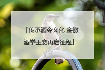 传承酒令文化 金徽酒拳王赛再启征程