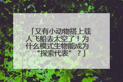 又有小动物搭上载人飞船去太空了！为什么模式生物能成为“探索代表”？