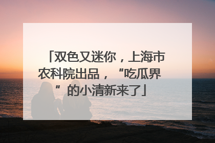 双色又迷你，上海市农科院出品，“吃瓜界”的小清新来了