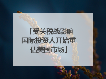 受关税战影响 国际投资人开始重估美国市场